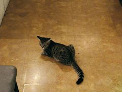 -逃脱反斗城沉浸剧情密室(北京路店)