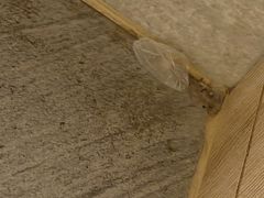 -杭州西湖湖滨银泰亚朵酒店