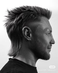 点击看大图 -金派发型