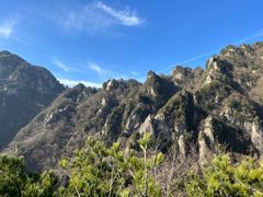 -王顺山国家森林公园