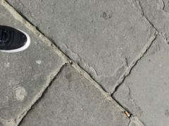 -领主广场
