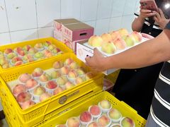 -老袁家蜜桃农场·阳山水蜜桃