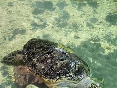 -南昌海洋公园