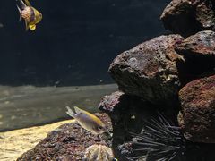 -欢乐海岸海洋奇梦馆