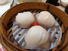 -点都德(华强南店)