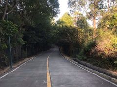 -高榜山景区