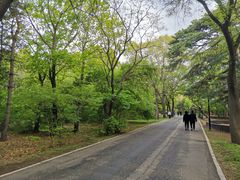 -北陵公园