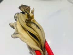 -四季捞