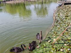 -燕郊植物园