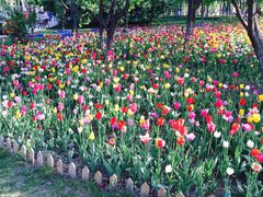 -长春公园(普阳街道)