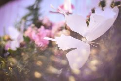 点击看大图 -巴黎新娘婚纱摄影·婚礼策划(嘉定总店)