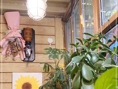 -Cafe Alice咖啡爱丽丝(奥城店)