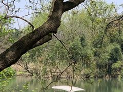 -春暖花开(西溪店)