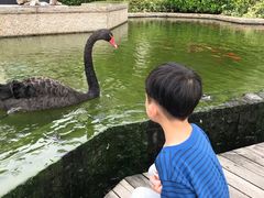 -行者书屋大堂吧 ·下午茶(南京圣和府邸酒店)