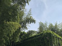 -济南大明湖景区