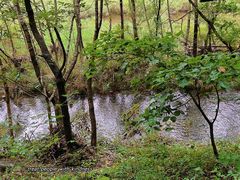 -大连冰峪旅游度假区