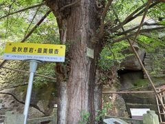 -大慈岩风景区