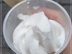 -洪馨椰子