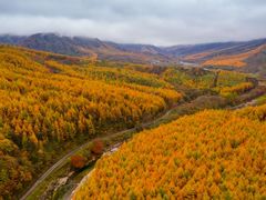 -光雾山旅游景区