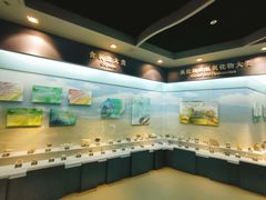 -甘肃地质博物馆