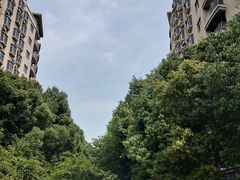 -南京航空航天大学(将军路校区)