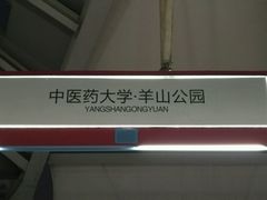 -羊山湖公园