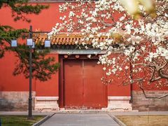 -北京市劳动人民文化宫(太庙)