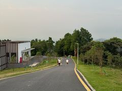 -黄埔油麻山森林公园