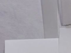 -BLACKSWAN黑天鹅(环球店)