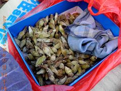 -祁门牯牛降观音堂风景区