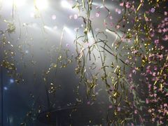 -成都金融城演艺中心