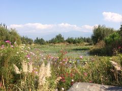 iphone_upload_pic-西昌邛海湿地