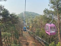 -东湖磨山景区