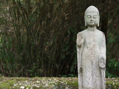 -鹿野苑石刻艺术博物馆