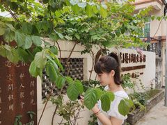 -三溪村