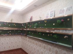 -圣婕美甲美睫皮肤管理