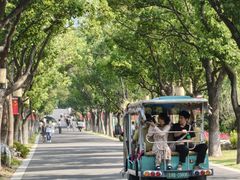 -东钱湖旅游度假区