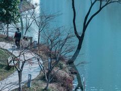 -青枫公园