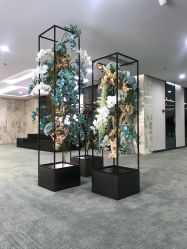 -北京炫美医疗美容
