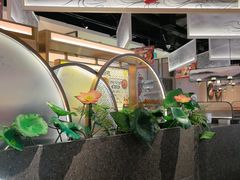 -新辣道鱼火锅(龙旗广场店)