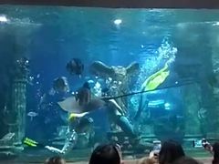 -梦幻海洋王国(吾悦广场张家港店)