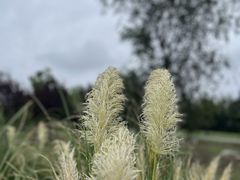 -汉长安城未央宫国家考古遗址公园