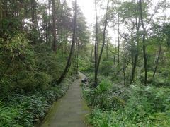 -窦圌山风景区