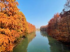 -上海海湾国家森林公园