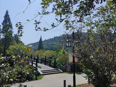 -苏州上方山国家森林公园