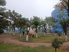 -华夏文旅海洋公园