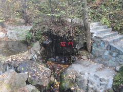-天女山森林公园