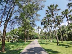 -中国科学院西双版纳热带植物园