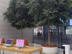 -Apple零售店(济南恒隆广场店)