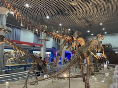 -国家自然博物馆